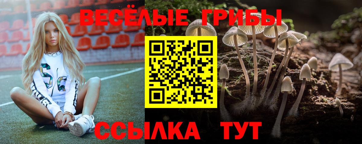 купить закладку  Вход с VPN  Бахчисарай  Псилоцибиновые грибы мухоморы 