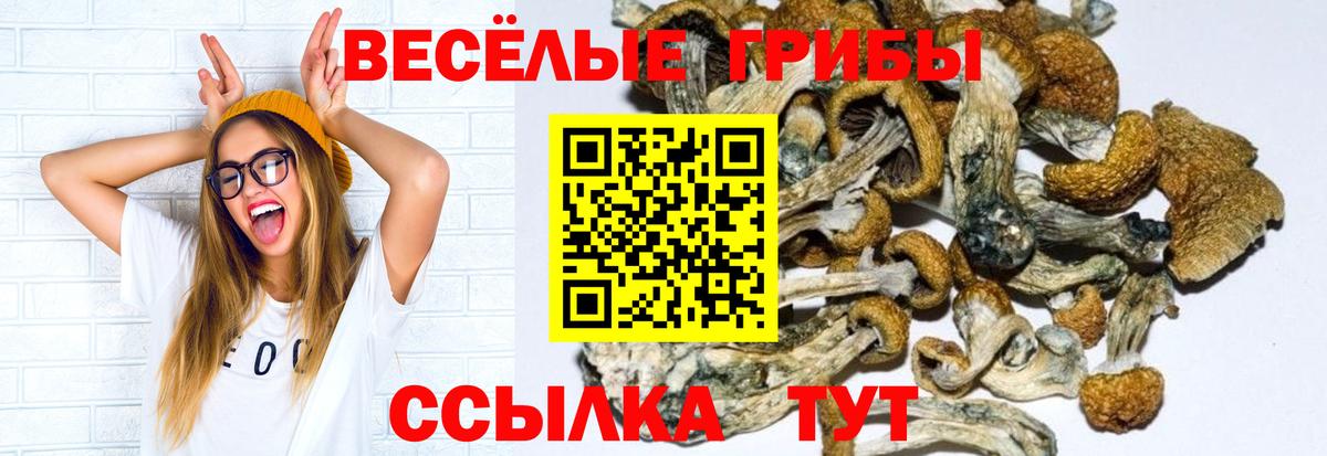 Псилоцибиновые грибы Psilocybine cubensis Бахчисарай